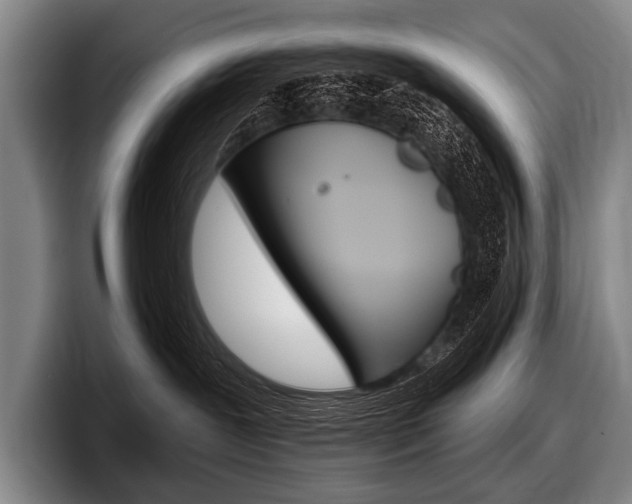 X0000097990239200803241028