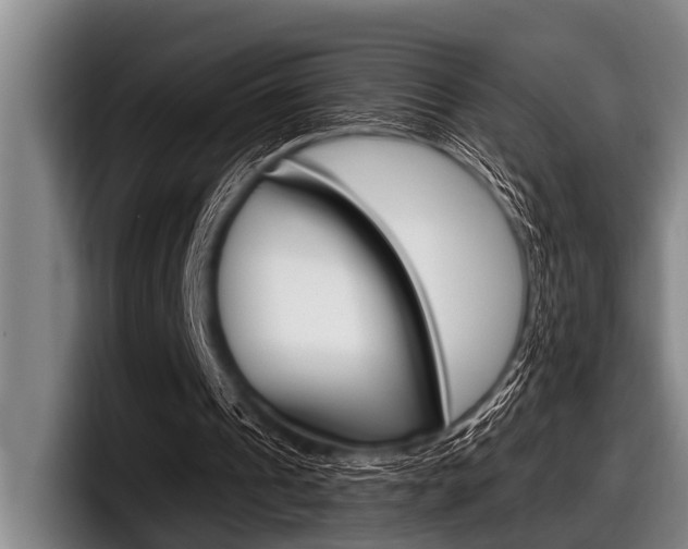 X0000097990241200803241027