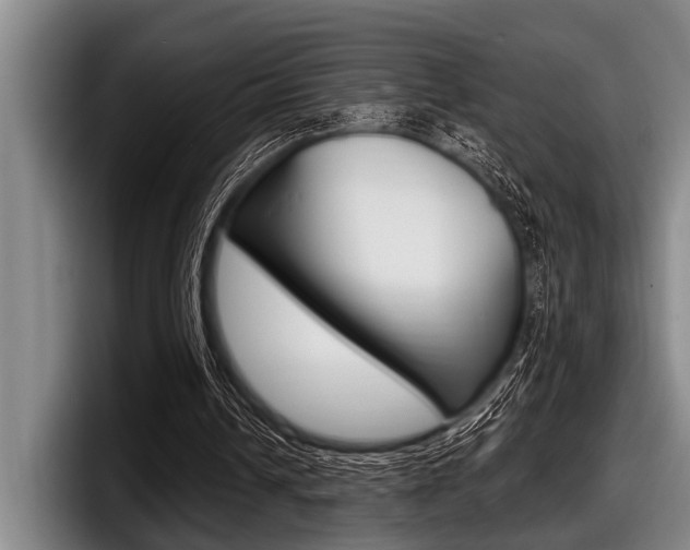X0000097990242200803241027