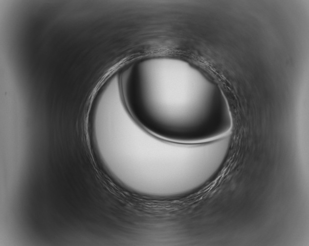 X0000097990244200803241027