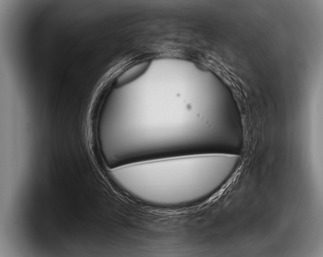X0000097990245200803241027