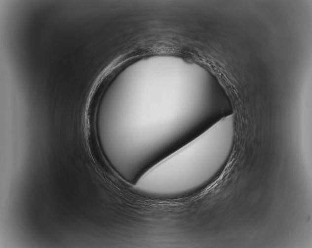 X0000097990246200803241027