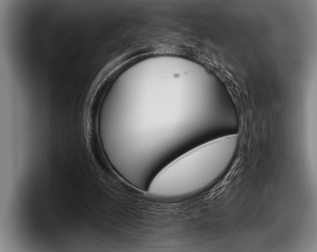 X0000097990247200803241027