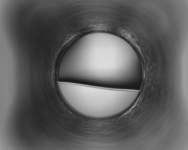 X0000097990249200803241027