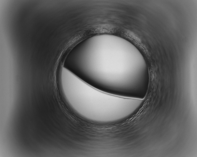X0000097990250200803241027