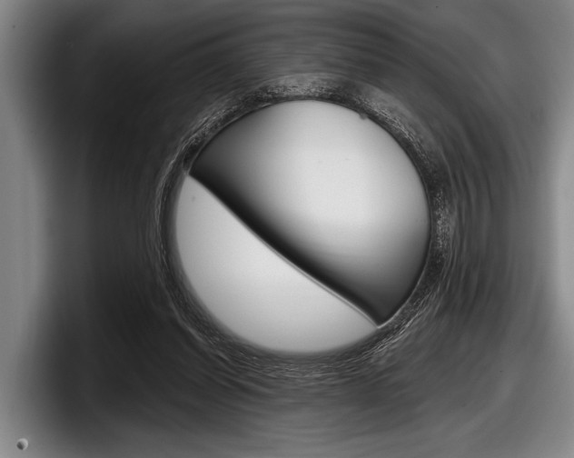 X0000097990254200803241027