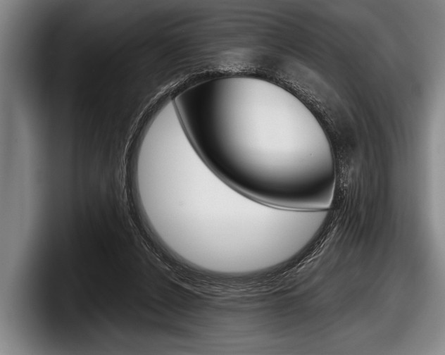 X0000097990256200803241027