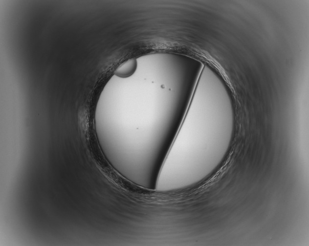 X0000097990257200803241027
