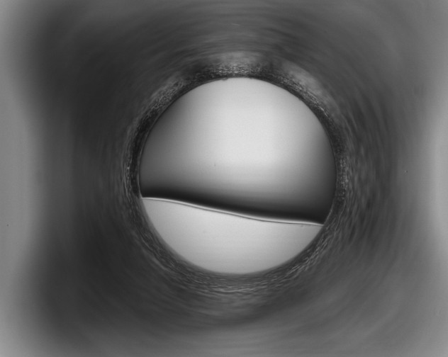 X0000097990258200803241027
