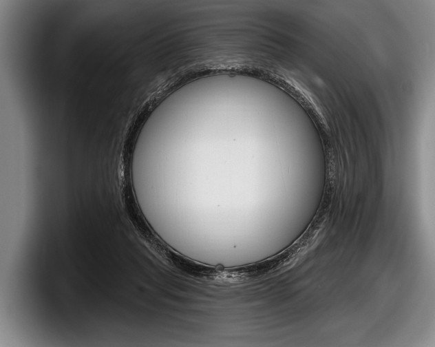 X0000097990261200803241027
