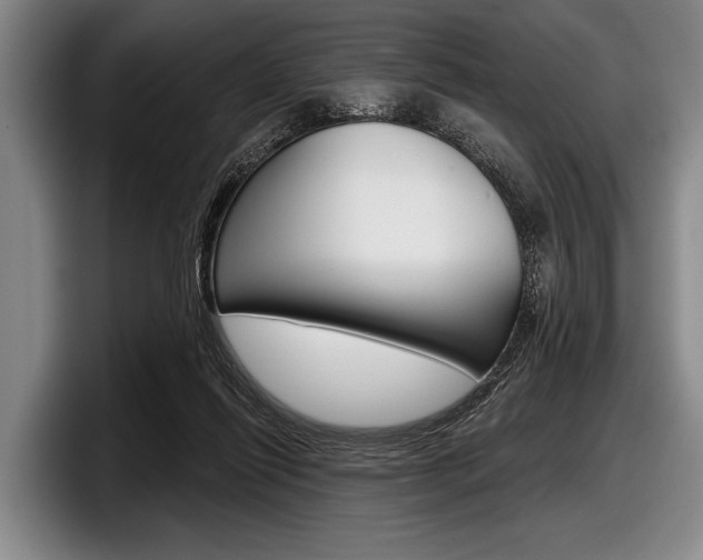 X0000097990262200803241027