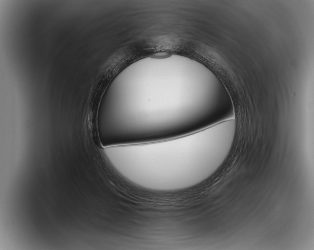 X0000097990264200803241027