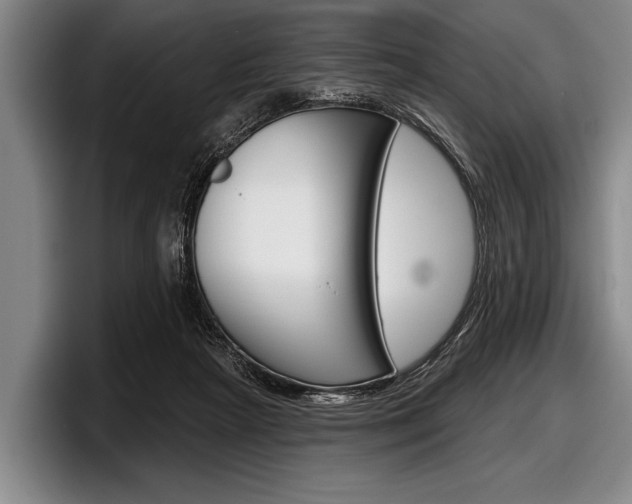 X0000097990265200803241027