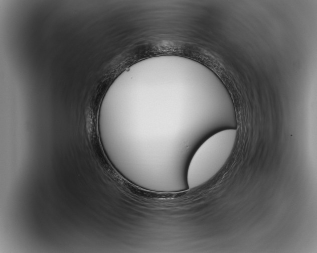 X0000097990266200803241027