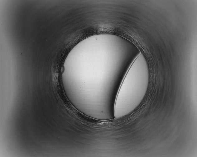 X0000097990269200803241027