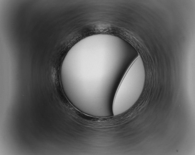 X0000097990270200803241027