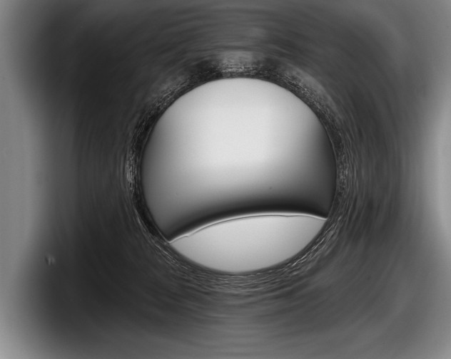 X0000097990277200803241028