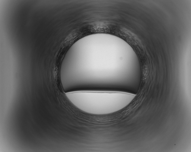 X0000097990278200803241028