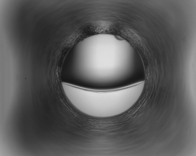 X0000097990280200803241028