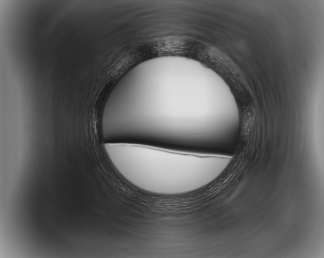 X0000097990282200803241028
