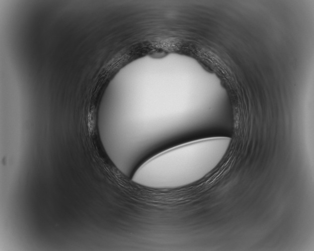 X0000097990285200803241028