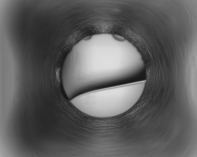X0000097990286200803241028