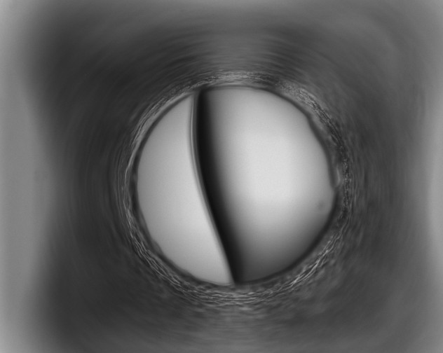 X0000097990289200803241027