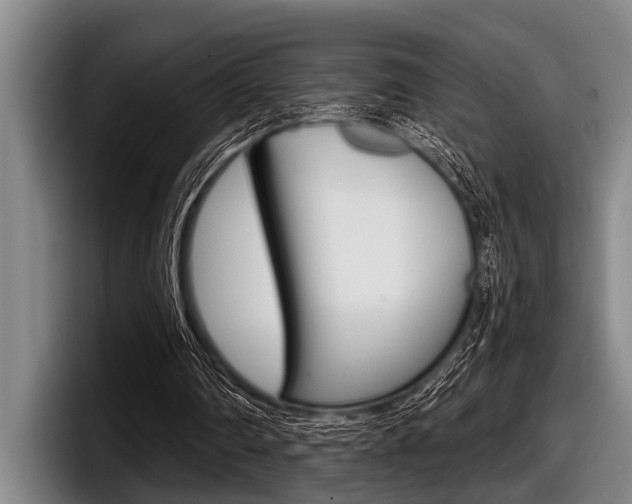 X0000097990290200803241027