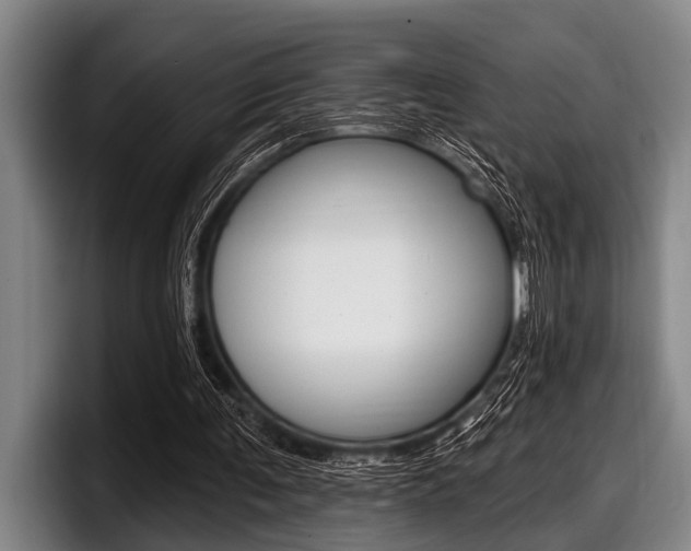 X0000097990291200803241027