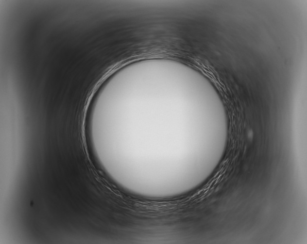 X0000097990292200803241027