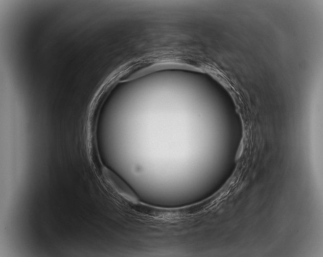 X0000097990293200803241027