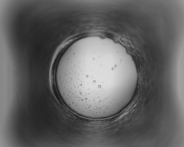 X0000097990294200803241027