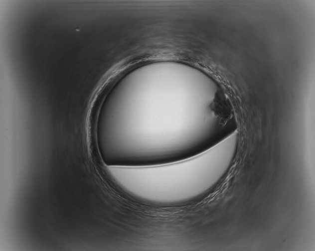 X0000097990296200803241027