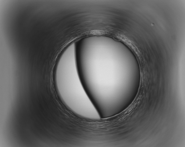 X0000097990297200803241027