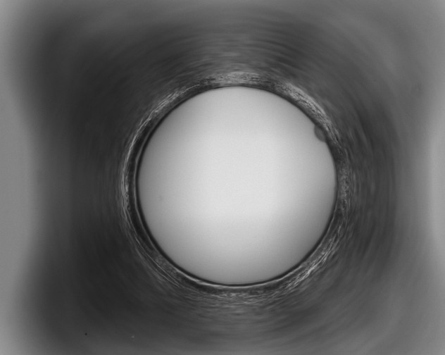 X0000097990298200803241027