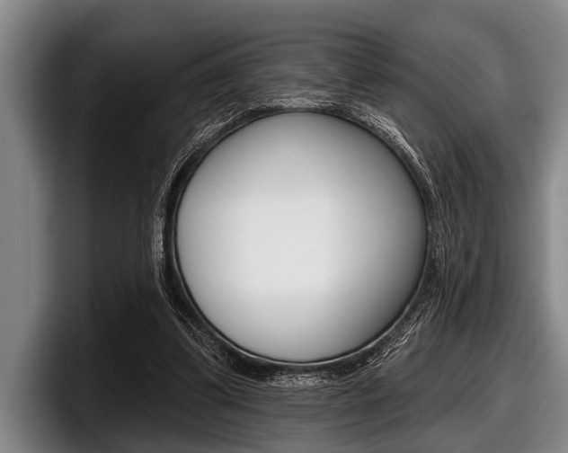 X0000097990299200803241027