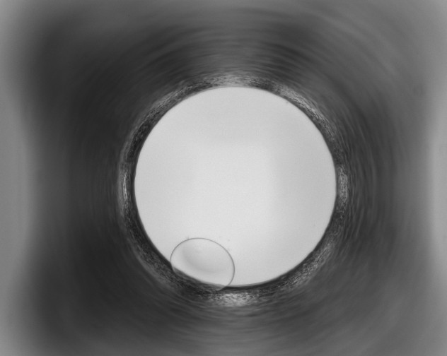 X0000097990302200803241027