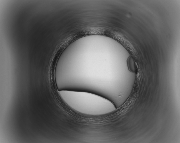 X0000097990306200803241027