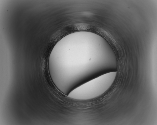 X0000097990311200803241027