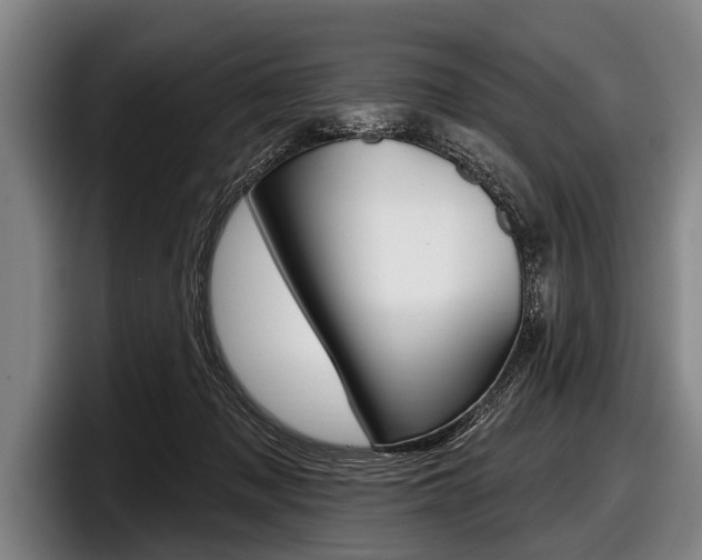 X0000097990317200803241027