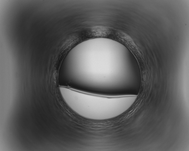X0000097990325200803241027