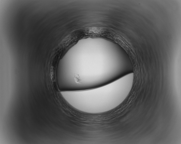 X0000097990328200803241027
