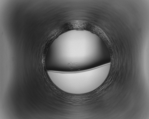 X0000097990329200803241027