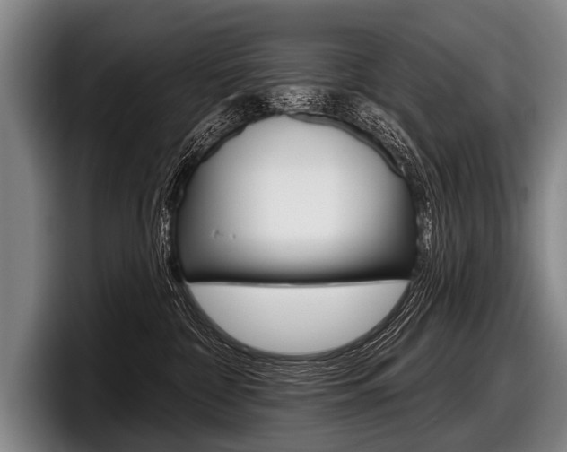 X0000097990332200803241026