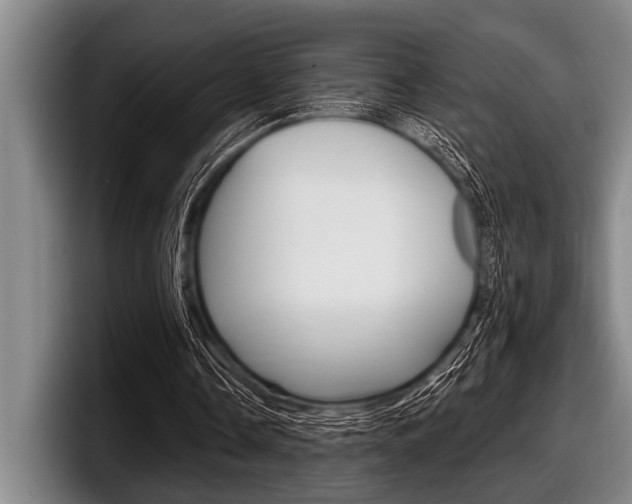 X0000097990338200803241026