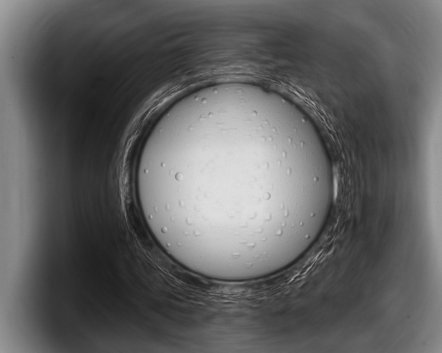 X0000097990339200803241026