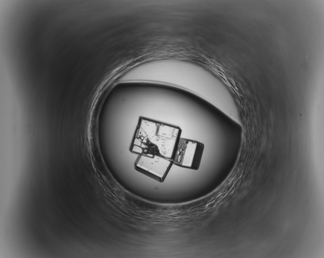 X0000097990340200803241026