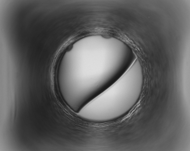 X0000097990341200803241026