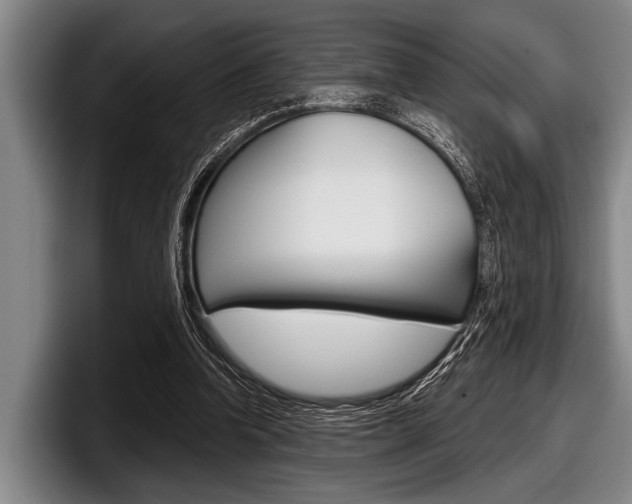 X0000097990346200803241026