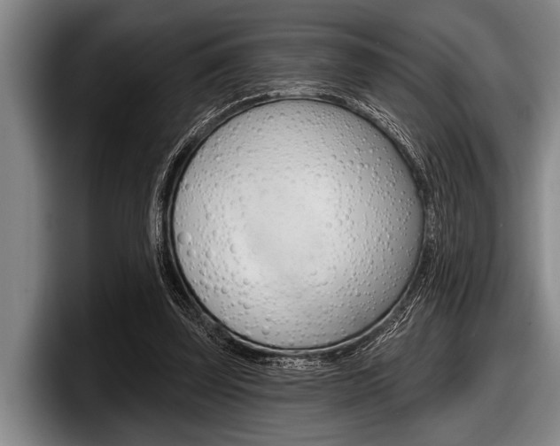 X0000097990347200803241026